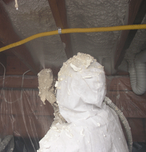 Bella Vista AR crawl space insulation